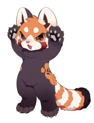 1boy animal_ears animal_feet animal_hands arms_up chibi chibi_only chibikemo claws commentary digitigrade english_commentary fluffy_land furry furry_male garnet_(fluffy_land) highres kikugawa_ru looking_at_viewer male_focus official_art orange_eyes pawpads red_panda_boy red_panda_ears red_panda_tail second-party_source simple_background solo standing tachi-e tail white_background