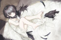 1girl absurdres bare_legs bare_shoulders bird_tail black_eyes black_hair closed_mouth commentary dress feathers feet flat_chest full_body hair_spread_out head_on_pillow highres ic_(iccccccccc81) loli long_hair looking_at_viewer lying multicolored_hair on_bed on_side original panties pantyshot pillow single_bare_foot sleeveless sleeveless_dress sock_dangle socks solo streaked_hair stuffed_animal stuffed_bird stuffed_toy symbol-only_commentary tail two-tone_hair underwear unworn_socks upskirt white_dress white_hair white_panties white_socks