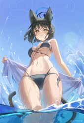 Rule 34 | 1girl, absurdres, animal ear fluff, animal ears, bare arms, bare shoulders, bikini, black eyes, black hair, blue archive, blue bikini, blue halo, blue haori, blush, breasts, cat ears, cat girl, cat tail, cleavage, from below, halo, haori, highres, japanese clothes, kikyou (blue archive), looking at viewer, multiple tails, navel, official alternate costume, parted lips, short hair, sky, solo, stomach, swimsuit, syc2159, tail, two tails, wet