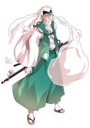 1boy alphes_(style) blue_eyes commentary_request dairi facial_hair flower full_body geta ghost ghost_print gloom_(expression) green_vest hakama hakama_pants highres hitodama japanese_clothes jitome kimono konpaku_youki long_hair long_sleeves looking_at_viewer low_ponytail male_focus mustache old old_man open_clothes open_vest pants parody ponytail sandals scabbard sheath sheathed simple_background socks solo standing style_parody sword tabi tachi-e thick_eyebrows touhou transparent_background vest weapon white_hair white_socks wide_sleeves wrinkled_skin