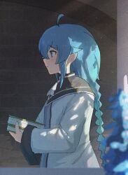 1girl absurdres ahoge black_capelet blue_eyes blue_hair blush book braid capelet commentary daimaou_cc dress english_commentary from_outside from_side highres holding holding_book long_braid long_hair long_sleeves mushoku_tensei profile roxy_migurdia solo stone_wall twin_braids upper_body very_long_hair white_dress