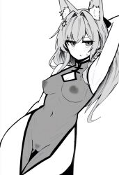 1girl alternate_costume animal_ear_fluff animal_ears arknights arm_behind_back arm_behind_head arm_up armpits breasts china_dress chinese_clothes cleavage cleavage_cutout clothing_cutout commentary_request cowboy_shot dress female_pubic_hair greyscale groin hair_intakes highres light_blush long_hair looking_at_viewer makigirisu medium_breasts monochrome navel nipples parted_lips pelvic_curtain pozyomka_(arknights) pubic_hair pussy see-through_clothes see-through_dress side_slit simple_background sleeveless sleeveless_dress solo standing sweatdrop white_background