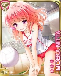 1girl :o ball bow buruma court english_text girlfriend_(kari) holding indoors jacket looking_at_viewer net nitta_moeka official_art open_mouth pink_bow pink_hair playing_sports purple_eyes qp:flapper shirt shoes short_hair smile sneakers socks standing tagme volleyball volleyball_(object) volleyball_serve white_shirt wooden_floor