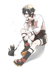 Rule 34 | 1boy, black bow, black bowtie, black cat, black choker, black hair, black shoes, black shorts, black socks, bow, bowtie, cat, cat teaser, choker, collared shirt, commentary request, datenshi no fu, despair god morroc, full body, hair over one eye, highres, long sleeves, male focus, pointy ears, ragnarok masters, ragnarok online, shirt, shoes, short hair, shorts, simple background, sitting, socks, solo, white background, white shirt, yellow eyes