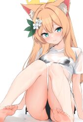 1girl animal_ear_fluff animal_ears arm_support bare_legs barefoot bikini bikini_under_clothes black_bikini blue_archive blue_eyes blush breasts cat_ears closed_mouth flower hair_between_eyes hair_flower hair_ornament halo highres long_hair looking_at_viewer mari_(blue_archive) orange_hair see-through_clothes see-through_shirt shirt short_sleeves side-tie_bikini_bottom sitting small_breasts smile soles solo swimsuit toes wet wet_clothes wet_shirt white_flower yellow_halo zarashi