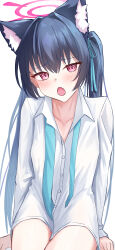Rule 34 | 1girl, :o, absurdres, animal ear fluff, animal ears, arms at sides, black hair, blue archive, blue ribbon, blush, cat ears, cat girl, collarbone, collared shirt, commentary, cowboy shot, dress shirt, fang, fujiwara haru (nekonote), furrowed brow, hair between eyes, hair intakes, hair ribbon, halo, highres, long hair, naked shirt, neck ribbon, open mouth, oversized clothes, oversized shirt, pink halo, pink pupils, red eyes, ribbon, serika (blue archive), shirt, simple background, sitting, skin fang, sleeves past wrists, slit pupils, solo, straight hair, tsurime, twintails, undone neck ribbon, very long hair, white background, white shirt
