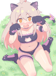 Rule 34 | absurdres, achat, animal ears, cat ears, cat girl, cat lingerie, highres, male-female symbol, meme attire, multicolored hair, onii-chan wa oshimai!, oyama mahiro, two-tone hair
