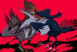 beak bird_tail bird_wings black_feathers black_wings bright_pupils feathers gen_4_pokemon glaring grey_wings highres honchkrow mochako_(motyako_1005) nintendo no_humans pokemon pokemon_(creature) pokemon_focus red_background red_eyes simple_background staraptor tail talons white_feathers white_pupils wings
