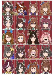 6+girls agnes_tachyon_(umamusume) animal_ears asuka_(junerabitts) black_hair blue_eyes brown_hair daiwa_scarlet_(umamusume) ear_covers fenomeno_(umamusume) gold_ship_(umamusume) haru_urara_(umamusume) horse_ears horse_girl kawakami_princess_(umamusume) king_halo_(umamusume) kitasan_black_(umamusume) looking_at_viewer mejiro_dober_(umamusume) mejiro_ryan_(umamusume) multicolored_hair multiple_drawing_challenge multiple_girls nakayama_festa_(umamusume) pink_hair portrait purple_eyes red_eyes sakura_bakushin_o_(umamusume) streaked_hair symboli_rudolf_(umamusume) tanino_gimlet_(umamusume) tiara tokai_teio_(umamusume) twintails umamusume v vodka_(umamusume)