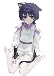 1boy animal_ears armor bare_legs belt bishounen black_eyes black_tail bow cat_boy cat_ears cat_tail closed_mouth expressionless full_body genshin_impact hand_on_own_thigh japanese_clothes jpeg_artifacts kariginu kemonomimi_mode looking_at_viewer male_focus purple_belt purple_bow purple_hair scaramouche_(genshin_impact) scaramouche_(kabukimono)_(genshin_impact) short_hair short_shorts shorts simple_background single_ear_down sitting soles solo t112 tail tail_around_own_leg three-quarter_sleeves wariza white_background white_shorts wolf_cut
