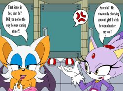 Rule 34 | amy rose, anger vein, bat (animal), bat wings, blaze the cat, blue eyes, boots, cat, door, dress, flat chest, gloves, indoors, lipstick, makeup, panties, panty pull, public restroom, purple dress, purple hair, rouge the bat, sega, shoes, sitting, smile, sonic (series), toilet use, underwear, white fur, white hair, white panties, wings, yellow eyes