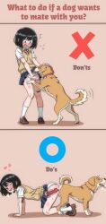1girl all_fours animal_penis ass-to-ass_penetration bestiality black_hair blue_skirt blush brown_background brown_vest censored circle cum dog dog_penis ejaculation heart highres hippo_power internal_cumshot loafers miniskirt mosaic_censoring one_eye_closed original panties penis pleated_skirt school_uniform sex shirt shoes short_hair short_sleeves simple_background skirt smile socks sweater_vest underwear vest white_panties white_shirt white_socks x x-ray