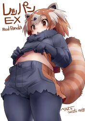 1girl animal_ears black_hair brown_eyes brown_hair extra_ears gloves grey_hair kemono_friends looking_at_viewer multicolored_hair navel nyororiso_(muyaa) pantyhose red_panda_(ex)_(kemono_friends) red_panda_ears red_panda_girl red_panda_tail ribbon short_hair shorts simple_background solo sweater tail