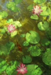 artist_name commentary day english_commentary fish flower lake light_rays lily_pad lotus nature no_humans original outdoors scenery sunbeam sunlight water zandra