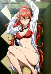 Rule 34 | 1girl, absurdres, bikini, bikini under clothes, black necktie, blush, closed mouth, collared shirt, couch, green eyes, hair between eyes, highres, indoors, long hair, long sleeves, looking at viewer, loose necktie, lying, magazine scan, megami magazine, necktie, nishihata ayumi, official art, on back, on couch, open clothes, open shirt, orange hair, pointy ears, red bikini, salaryman ga isekai ni ittara shitennou ni natta hanashi, scan, shirt, solo, swimsuit, tail, thighs, ulmandra, very long hair, white shirt