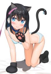 :s all_fours animal_ears animal_hands apollo_(hu_maple) bell black_hair black_socks blue_eyes blue_hair blue_ribbon blush bra breasts cat_ears cat_tail cat_teaser collar collarbone colored_inner_hair commentary_request dot_nose gloves hair_ribbon highres jingle_bell kneehighs medium_hair multicolored_hair on_bed original panties paw_gloves paw_pose ribbon shy simple_background small_breasts socks solo tail tail_ornament tail_ribbon thigh_gap underwear underwear_only white_background white_bra white_panties white_ribbon