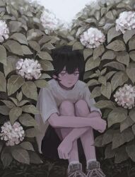 1boy amamanoban black_hair black_pants closed_mouth commentary_request day empty_eyes expressionless flower highres hydrangea leaf looking_at_viewer male_focus original outdoors pants pink_flower shirt shoes short_hair short_sleeves shorts sitting sneakers solo white_flower white_shirt