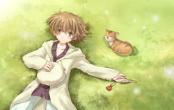 Rule 34 | 00s, 1boy, brown hair, newsboy cap, cat, clannad, grass, hat, hood, hoodie, lying, male focus, selit, shima katsuki, short hair, solo, yellow eyes