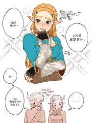 Rule 34 | ..., 1boy, 1girl, black gloves, blonde hair, blue shirt, blush, braid, commentary request, cropped torso, crown braid, ear blush, fingerless gloves, gloves, gold trim, green eyes, highres, korean commentary, korean text, link, long hair, nintendo, pointy ears, ponytail, princess zelda, shirt, short ponytail, speech bubble, spoken ellipsis, sweatdrop, the legend of zelda, the legend of zelda: breath of the wild, thick eyebrows, translation request, triforce, zeldm