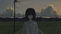 Rule 34 | 1girl, absurdres, black eyes, black hair, breast pocket, cloud, collared shirt, dusk, field, grass, highres, looking to the side, mountainous horizon, nagataqtoten, original, outdoors, pocket, shirt, short hair, short sleeves, simple bird, sky, solo, sweat, utility pole