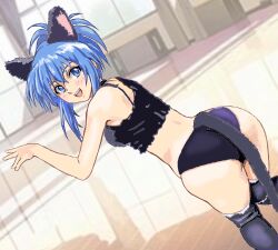 1girl :d animal_ears bare_arms bare_shoulders black_panties blue_eyes blue_hair breasts cat_ears cat_girl cat_tail crossed_bangs female_focus hair_between_eyes highres kampfer kneehighs light_blue_hair matching_hair/eyes medium_breasts medium_hair mizumori_keiichi open_mouth panties senou_natsuru smile socks solo tail teeth thighs underwear upper_teeth_only
