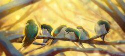 Rule 34 | artist name, bare tree, bird, bird request, dappled sunlight, landscape, lens flare, no humans, original, outdoors, painterly, scenery, signature, sitting on branch, sunlight, tree, zandra