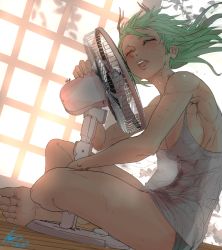 1girl abs armpits bare_legs bare_shoulders barefoot biceps black_panties breasts cleavage closed_eyes commentary_request dated day dripping electric_fan eyelashes fanning_face fanning_self fingernails floating_hair green_hair grey_tank_top highres horns hot indian_style indoors large_breasts lips muscular muscular_female nose obliques oni oni_horns original panties pectorals see-through_clothes shirt sidepec signature sitting sliding_doors soles solo summer sweat nervous_sweating tank_top teeth toes toned underwear upper_teeth_only wet wet_clothes wet_shirt wooden_floor zippedsquire