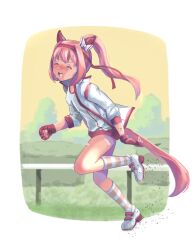 1girl absurdres animal_ears bandaid bandaid_on_leg bow buruma closed_eyes commentary_request ear_bow facing_viewer fingerless_gloves full_body gloves gym_shirt gym_uniform hairband haru_urara_(umamusume) highres horse_ears horse_girl horse_tail jacket long_hair moko39_takasora open_clothes open_jacket open_mouth pink_hair ponytail red_buruma red_gloves red_hairband shirt shoes socks solo striped_clothes striped_socks sweat tail umamusume v-shaped_eyebrows white_bow white_jacket white_shirt white_shoes