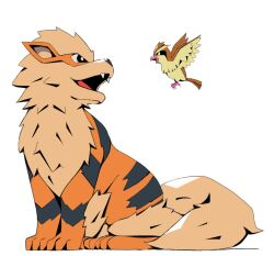 arcanine black_eyes bright_pupils commentary eye_contact fangs gen_1_pokemon highres looking_at_another nintendo no_humans open_mouth pidgey pokemon pokemon_(creature) pokemon_focus psaber97 sitting tongue white_background white_pupils
