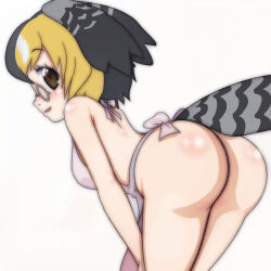Rule 34 | 1girl, apron, ass, bent over, bird girl, bird tail, black hair, blonde hair, blush, breasts, brown eyes, campo flicker (kemono friends), from behind, glasses, hands on own thighs, head wings, kemono friends, looking at viewer, looking back, medium breasts, multicolored hair, naked apron, open mouth, short hair, smile, standing, t jiroo (ringofriend), tail, two-tone hair, white apron, white background, wings
