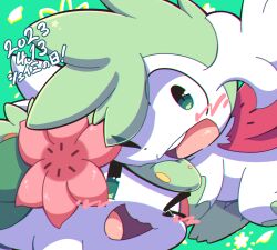 :3 animal_focus character_name chromatic_aberration dated flower gen_4_pokemon green_background green_eyes green_hair green_theme happy japanese_text legendary_pokemon looking_at_another mythical_pokemon nettsuu nintendo no_humans one_eye_closed open_mouth pink_flower pokemon pokemon_(creature) shaymin shaymin_(land) shaymin_(sky) short_hair smile teeth translated wide-eyed wink
