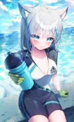 1girl absurdres animal_ear_fluff animal_ears black_shorts black_sleeves blue_archive blue_eyes bottle cross_hair_ornament cycling_uniform gloves green_gloves grey_hair hair_between_eyes hair_ornament highres holding holding_bottle long_hair looking_at_viewer lovelykirby_125 ocean parted_lips shiroko_(blue_archive) shiroko_(cycling)_(blue_archive) shirt shorts sitting solo sweat water_bottle white_shirt wolf_ears wolf_girl