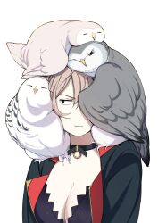 Rule 34 | 1girl, absurdres, animal, animal on head, animal on shoulder, azur lane, bird, bird on head, black choker, black eyes, black jacket, breasts, brown hair, choker, cleavage, closed mouth, hair over one eye, hatski.sin, highres, jacket, jean bart (azur lane), medium breasts, o-ring, o-ring choker, on head, open clothes, owl, short hair, simple background, solo, upper body, white background