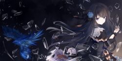 Rule 34 | 1girl, absurdres, arcaea, arm cutout, bird, black background, black capelet, black flower, black hair, black ribbon, black rose, black skirt, blue bird, blue eyes, blue flower, blue rose, bow, bow skirt, capelet, closed mouth, commentary request, cowboy shot, floating hair, flower, from behind, glass shards, hair flower, hair intakes, hair ornament, hair ribbon, highres, lesyef103, long sleeves, looking at viewer, looking back, pleated capelet, ribbon, rose, skirt, solo, standing, tairitsu (arcaea), tairitsu (grievous lady) (arcaea)