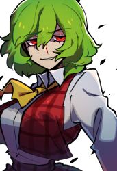 1girl ascot breasts green_hair grin hair_between_eyes half-closed_eyes highres iganashi1 kazami_yuuka large_breasts medium_hair one-hour_drawing_challenge parted_lips raised_eyebrow red_vest simple_background smile smug solo touhou upper_body vest white_background wing_collar yellow_ascot