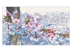 Rule 34 | border, branch, cherry blossoms, close-up, commentary request, flower, no humans, original, outdoors, pink flower, plant, plant focus, stamen, sunoji08, white border, white flower