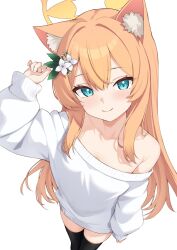 1girl animal_ear_fluff animal_ears aqua_eyes black_thighhighs blue_archive blush collarbone flower foreshortening hair_between_eyes hair_flower hair_ornament halo highres long_hair long_sleeves looking_at_viewer mari_(blue_archive) off-shoulder_sweater off_shoulder orange_hair sidelocks simple_background smile solo sweater thighhighs white_background white_flower white_sweater yellow_halo zarashi