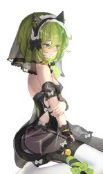 Rule 34 | 1girl, animal ears, arin (1010 ssu), bell, benghuai xueyuan, black garter straps, black leotard, black veil, blush, breasts, cat ears, cat tail, commentary request, dress, fake animal ears, fake tail, from side, garter straps, green eyes, green hair, highres, honkai (series), leotard, neck bell, see-through clothes, see-through dress, see-through veil, short hair, simple background, sitting, small breasts, solo, tail, thighhighs, thighs, veil, wariza, white background, white thighhighs, yssring leavtruth