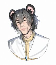 1girl animal_ear_fluff animal_ears brown_eyes capelet closed_mouth commentary cookie_(touhou) english_commentary grey_hair highres kazuya_guy_(meme) lips looking_at_viewer meme mouse_ears mouse_girl nazrin nyon_(cookie) short_hair simple_background smile solo touhou traveler_hxy upper_body white_background white_capelet