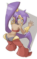 1girl artist_request ass butt_crack dark_skin highres purple_hair shantae shantae_(series) tagme