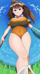 Rule 34 | 1girl, blue eyes, breasts, brown hair, cleavage, cloud, diane (nanatsu no taizai), giant, giantess, gloves, grass, hammer, highres, large breasts, leotard, long hair, looking at viewer, nanatsu no taizai, purple eyes, short sleeves, single glove, tadezawa (t 38yasumi), twintails