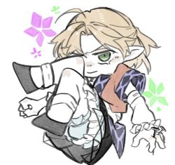 preview