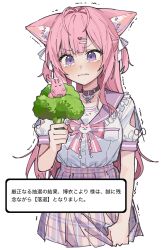Rule 34 | 1girl, absurdres, animal ear fluff, animal ears, antenna hair, belt collar, blush, bow, bowtie, broccoli, collar, commentary request, creature, food, hair ornament, hairclip, hakui koyori, hakui koyori (school uniform), highres, holding, holding food, holding vegetable, hololive, kokoro (hakui koyori), pink hair, pink skirt, plaid clothes, plaid skirt, purple eyes, shirt, shirt tucked in, simple background, skirt, solo, tearing up, translation request, trembling, tsukino (nakajimaseiki), vegetable, virtual youtuber, wavy mouth, white background, white shirt, wolf ears, wolf girl