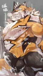 1boy abs alternate_pectoral_size animal_ears arms_behind_back bara beige_fur bodysuit bow bowtie bulge chain covered_penis cum cum_in_clothes cum_on_clothes cum_through_clothes electricity electrostimulation erection erection_under_clothes facial_hair forked_eyebrows furry furry_male gagged goatee highres large_pectorals live_a_hero male_focus mask muscular muscular_male nipples orange_(agnimon11803164) orange_bow orange_bowtie orange_fur pectorals ryekie_(live_a_hero) short_hair smoke solo spikes thick_thighs thighs tiger_boy tiger_ears torn_bodysuit torn_clothes two-tone_fur underpec