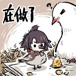 1girl ? animal beak bird black_hair chibi chibi_only chinese_commentary chinese_text cui_pi_zha_xia_qiu girls&#039;_frontline girls&#039;_frontline_neural_cloud mole mole_under_mouth monocle nest nora_(neural_cloud) official_art oversized_animal second-party_source solo