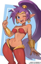1girl arabian_clothes bandeau blue_eyes blush breasts cleavage dark-skinned_female dark_skin earrings harem_pants highres hoop_earrings jewelry long_hair looking_at_viewer medium_breasts navel o-ring o-ring_top one_eye_closed open_mouth pants pointy_ears ponytail purple_hair shantae shantae_(series) smile solo teeth tiara upper_teeth_only very_long_hair wersman
