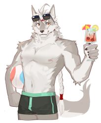 1boy abs absurdres animal_ears ball bara beachball biceps black_male_swimwear boxers braid claws closed_mouth cocktail_umbrella commentary_request cup dog_nose dyeong eyewear_on_head fang fang_out furry furry_male grey_fur hair_tie highres holding holding_ball holding_beachball holding_cup klaus_(world_flipper) korean_commentary long_hair looking_to_the_side male_focus male_swimwear male_underwear muscular muscular_male navel nipples pectorals smile sunglasses tail topless_male underwear white_hair wolf_boy wolf_ears wolf_tail world_flipper
