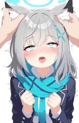 1girl 1other animal_ear_fluff animal_ears aqua_necktie aqua_scarf black_jacket blazer blue_archive blue_eyes blue_halo blush collared_shirt commentary_request cross cross_hair_ornament didac_fantasy eargasm extra_ears grey_hair hair_ornament halo hand_on_another&#039;s_ear heart heart-shaped_pupils highres inverted_cross jacket long_sleeves medium_hair mismatched_pupils necktie open_clothes open_jacket open_mouth rolling_eyes scarf shiroko_(blue_archive) shirt simple_background solo_focus sweat symbol-shaped_pupils tears uncommon_stimulation upper_body white_background white_shirt wolf_ears wolf_girl