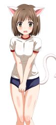 1girl animal_ears black_buruma breasts breasts_squeezed_together brown_hair buruma cat_ears cat_tail covering_crotch covering_privates embarrassed fake_animal_ears fake_tail fang gluteal_fold gym_uniform highres idolmaster idolmaster_cinderella_girls looking_at_viewer maekawa_miku open_mouth shirt short_sleeves simple_background sincos solo standing t-shirt tail white_background white_shirt