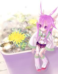 1girl axiacid bee bug closed_mouth collared_shirt commentary_request flower flower_pot full_body hair_between_eyes hair_ears hair_flaps hair_ornament highres insect long_hair long_pointy_ears long_sidelocks long_sleeves loose_socks mini_person minigirl original pink_eyes pink_hair pleated_skirt pointy_ears purple_eyes purple_skirt ribbon-trimmed_sleeves ribbon-trimmed_socks ribbon_trim shirt shoes sidelocks sitting skirt smile socks solo star_(symbol) star_hair_ornament star_in_eye suzuka_sutera_(axiacid) symbol_in_eye white_shirt white_shoes white_socks wide_sleeves yellow_flower